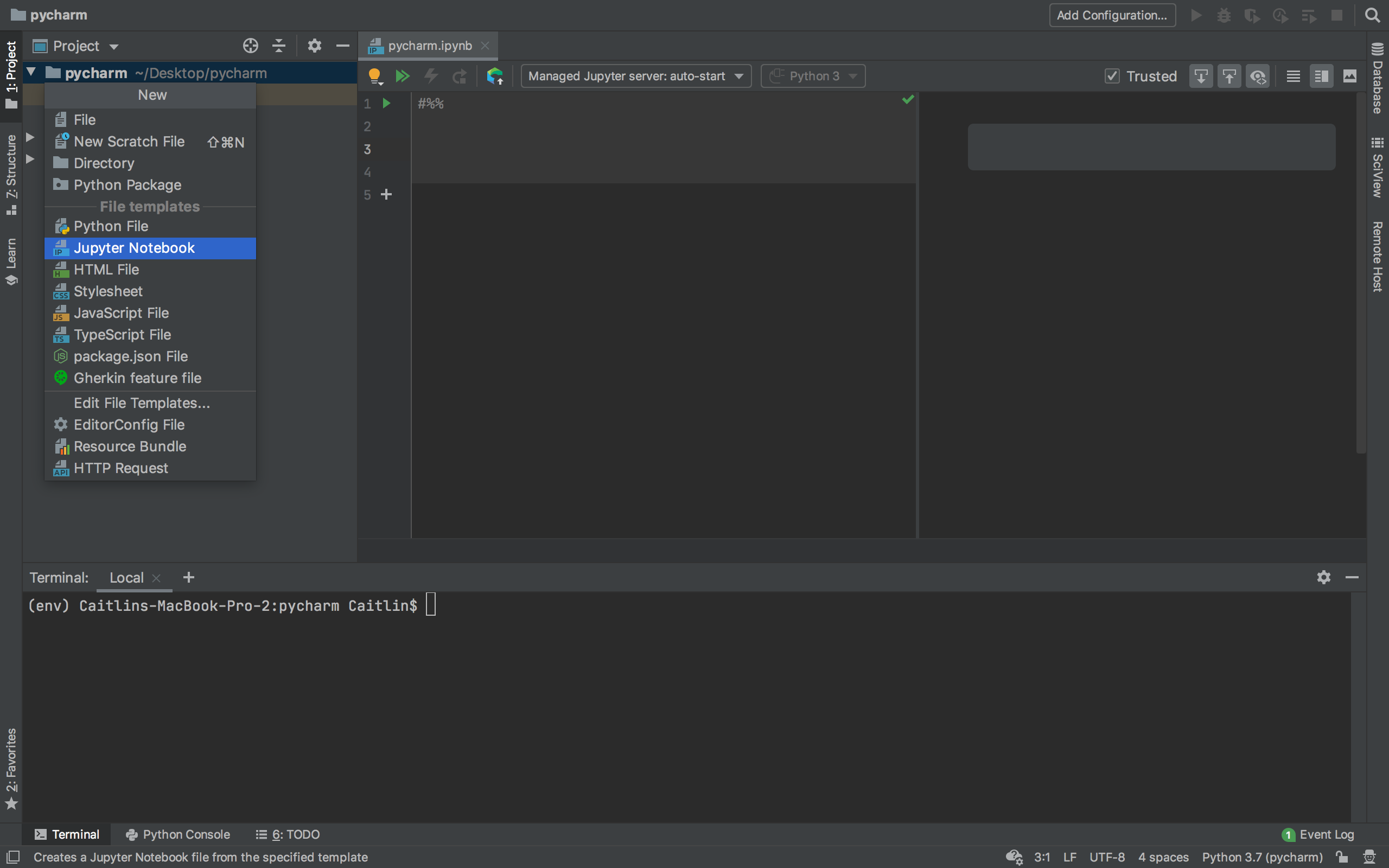 pycharm configure python interpreter