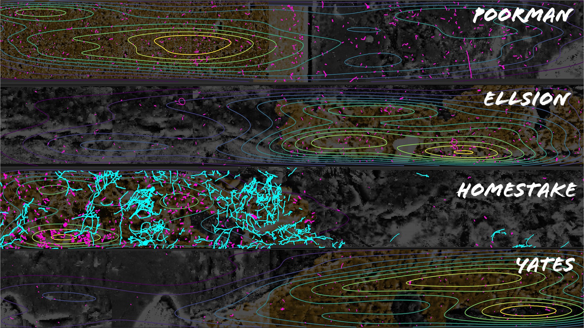 Rock-Hosted Subsurface Biofilms: Mineral Selectivity Drives Hotspots ...